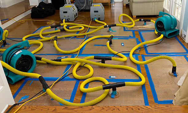 Professional Storm Water Damage Restoration technician working in Elon, NC